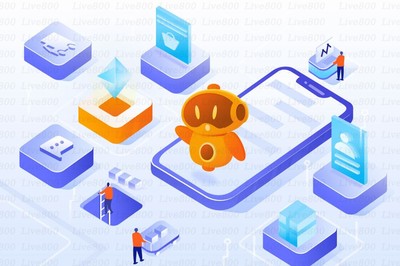 Live800 618硬仗過后，你的在線客服還穩健嗎？——電子商務信息咨詢視角